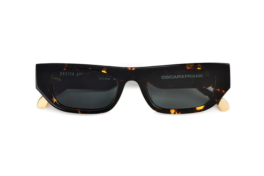 DOSTYK AVENUE  Gloss Black  Cola Photochromic