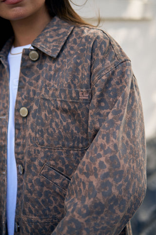 Ziggy Shacket