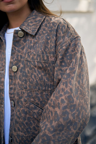 Ziggy Shacket