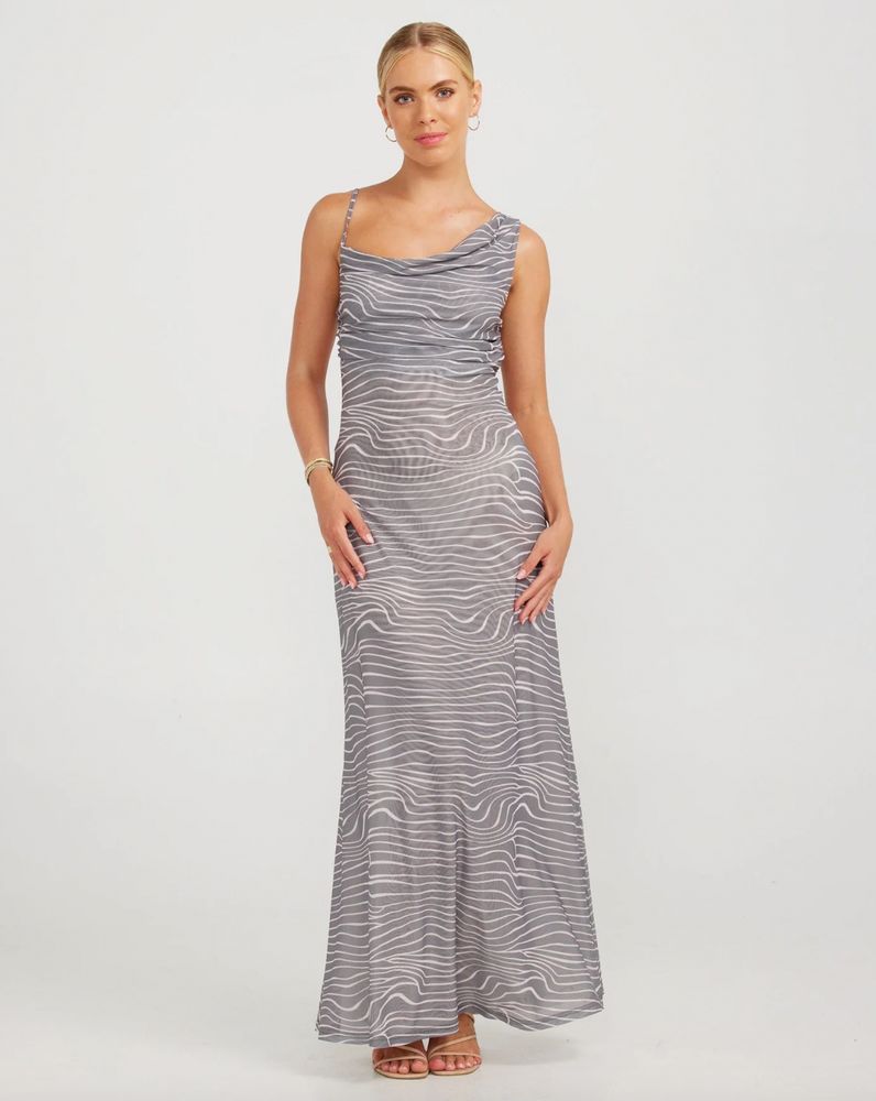 Retro Zebra | Maxi Dress